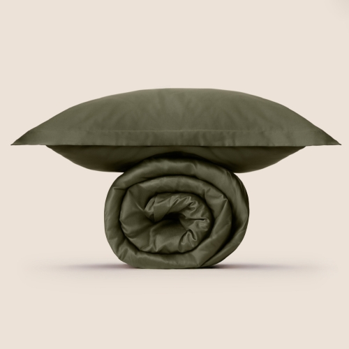 Комплект Постельное белье 2х-сп. Нефритовый