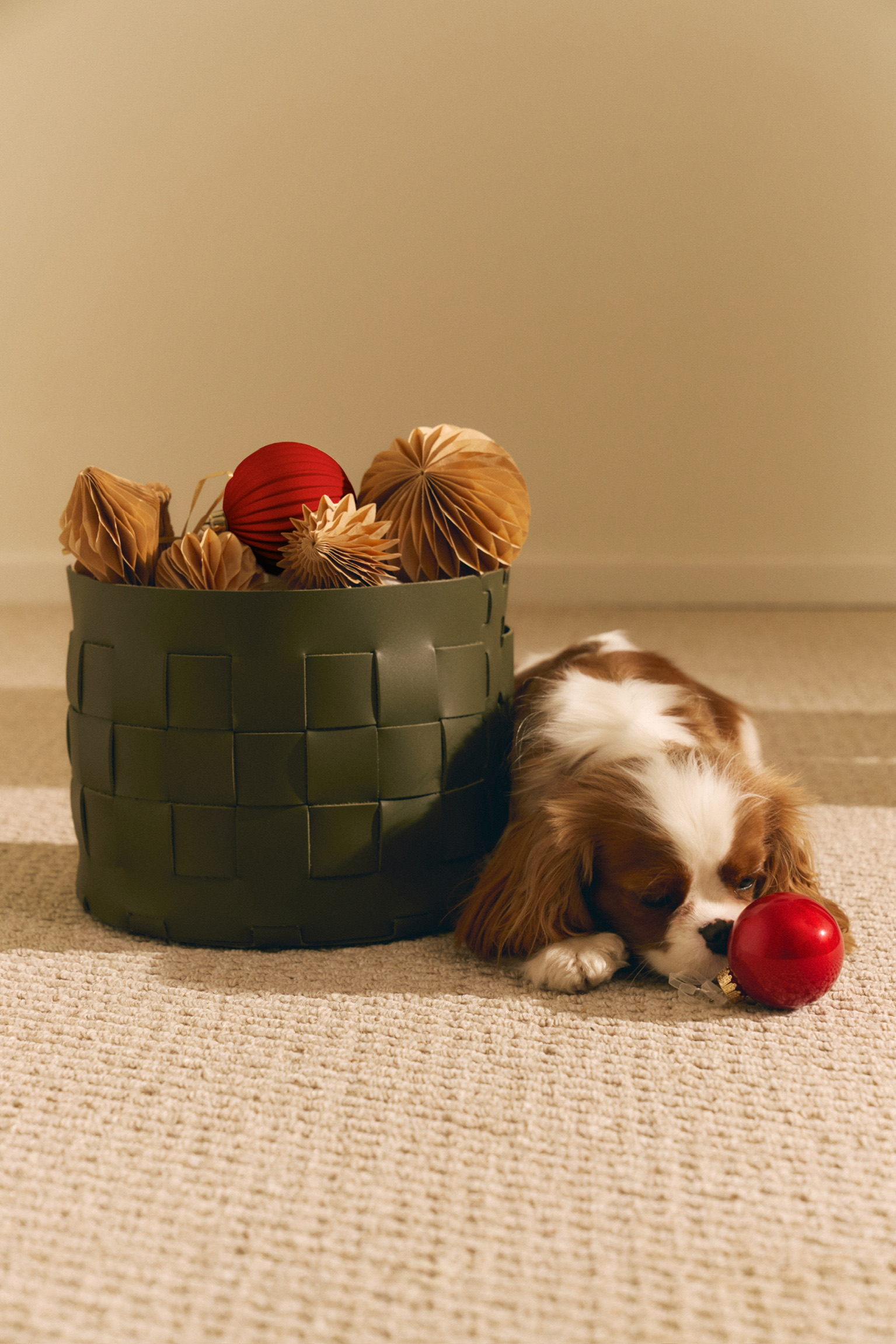 Корзина кожаная для хранения Nest Olive - Image 6