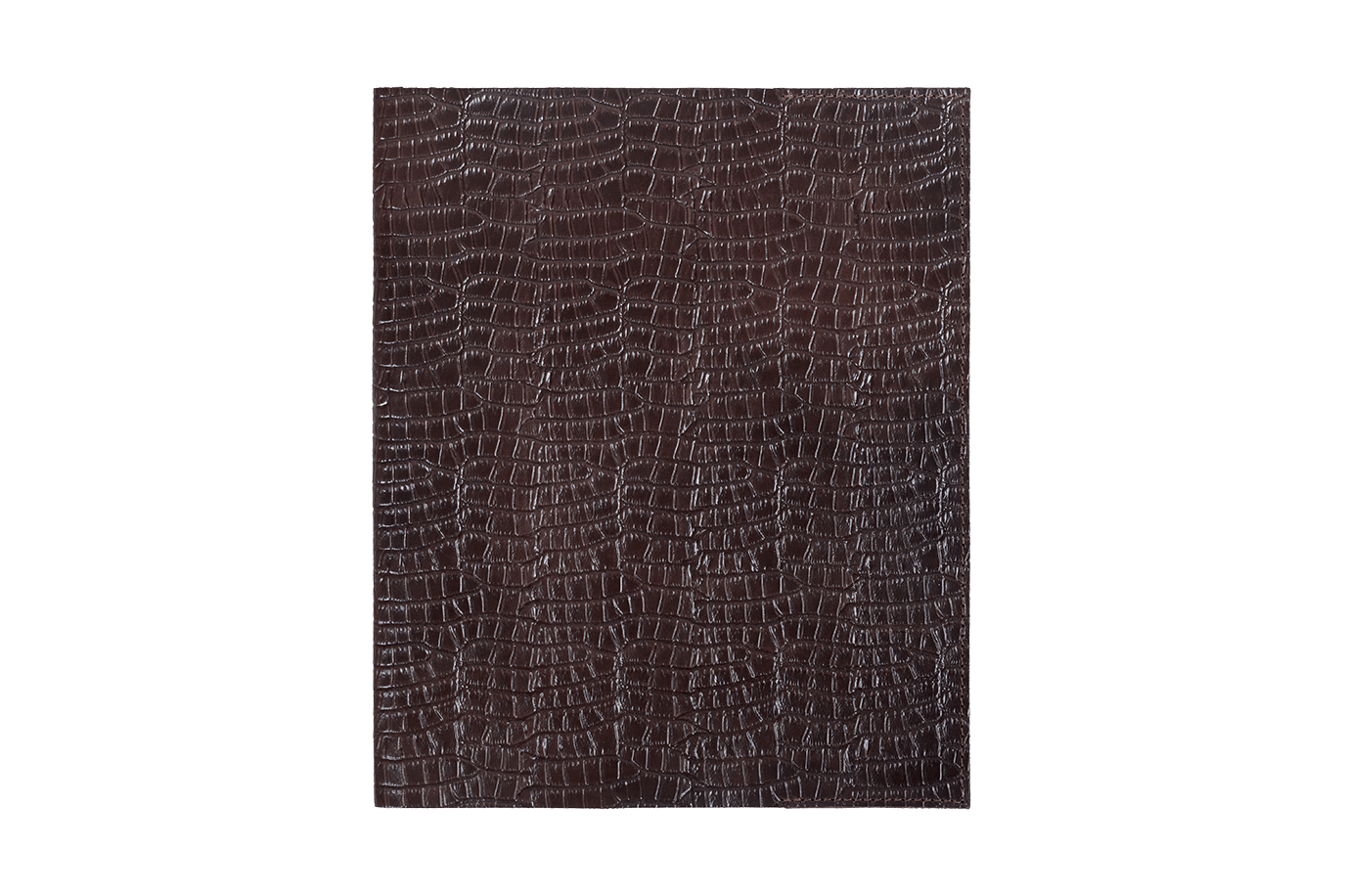 Книгопод Крокодил Коричневый - Image 2